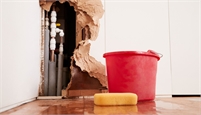 King Water Damage & Repair Brandon Hughes