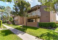Sycamore Terrace Apartments Megan Hall
